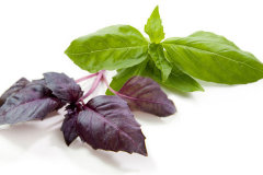 СО2 экстракт Базилика водорастворимый